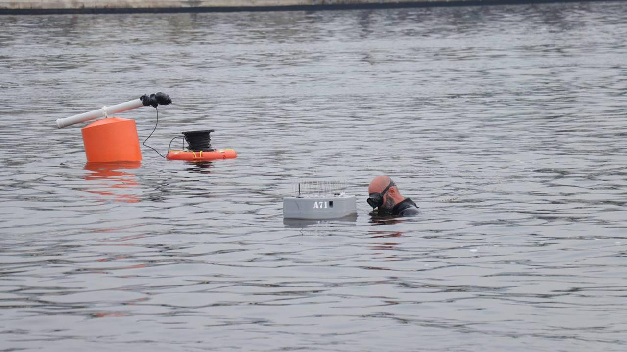 Marmara Denizi'ni bekleyen büyük tehlike