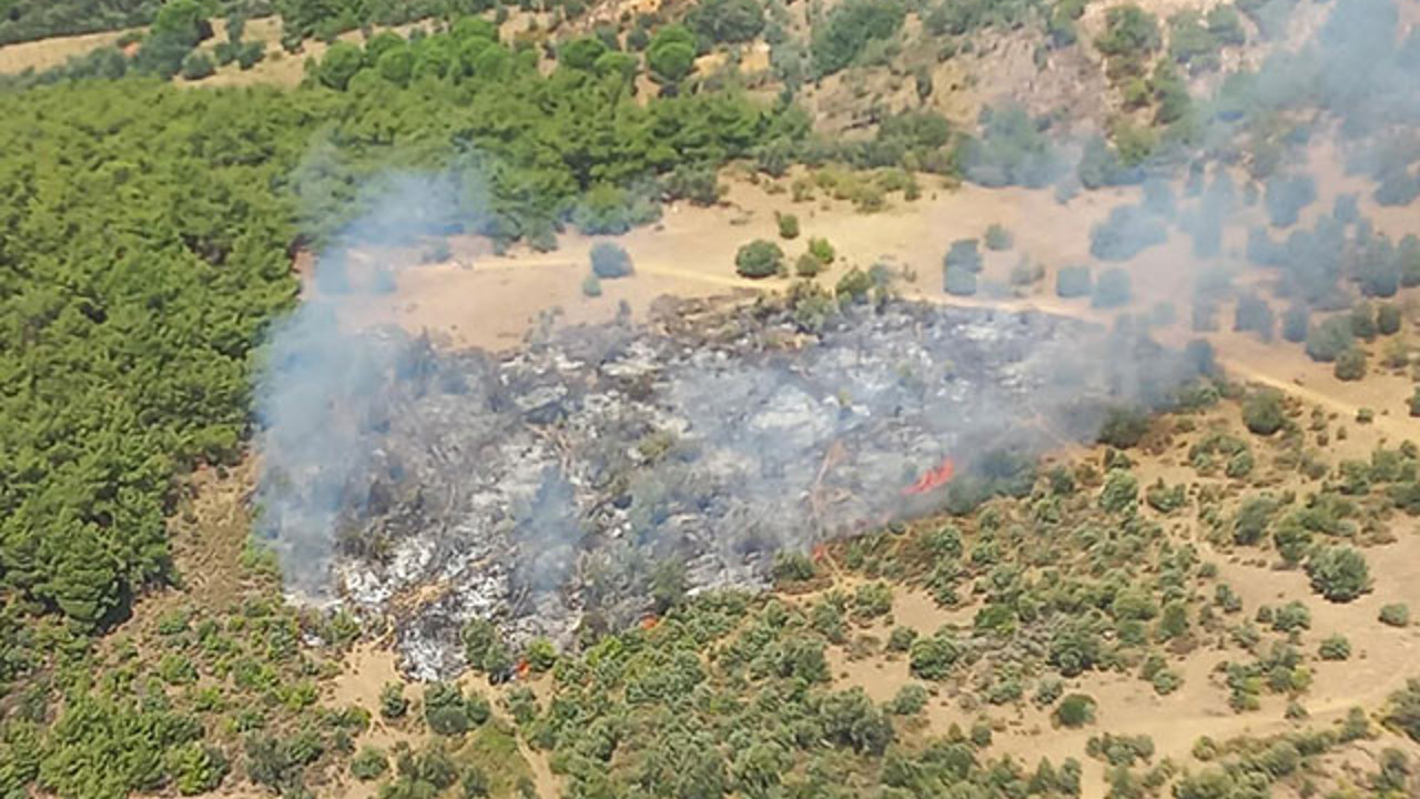 İzmir'de orman yangını (19 Eylül 2021)