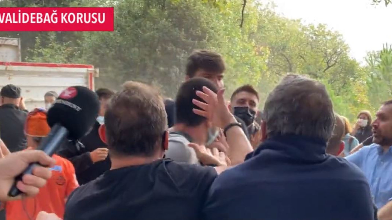 Validebağ Korusu’nda talan. AKP’li Belediyeye karşı koruyu savunanlara darp iddiası