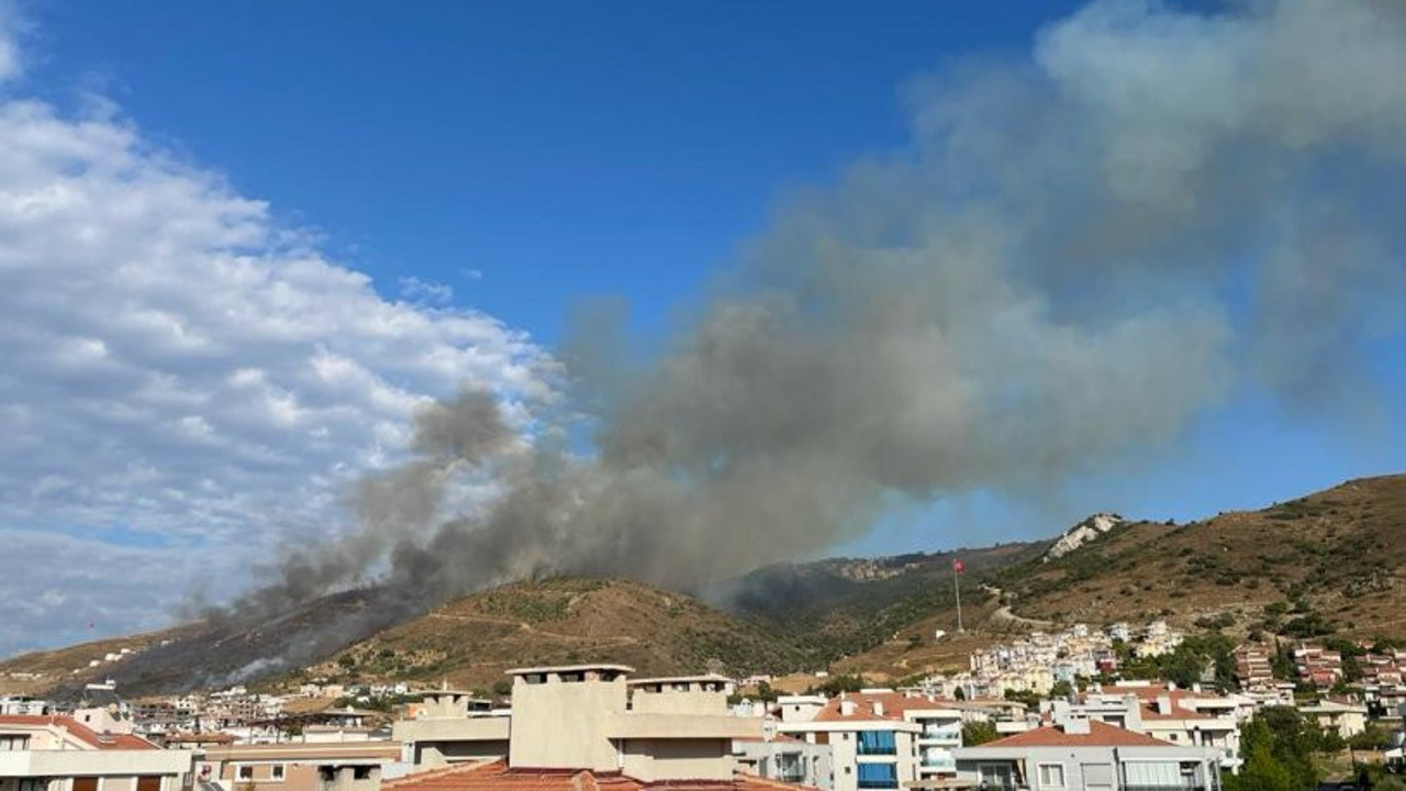 İzmir'de makilik alanda yangın