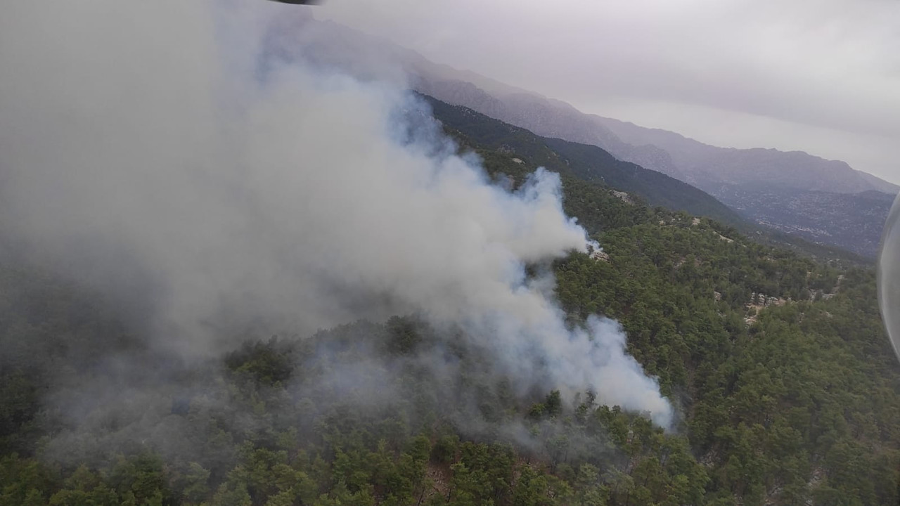 Manavgat'ta orman yangını