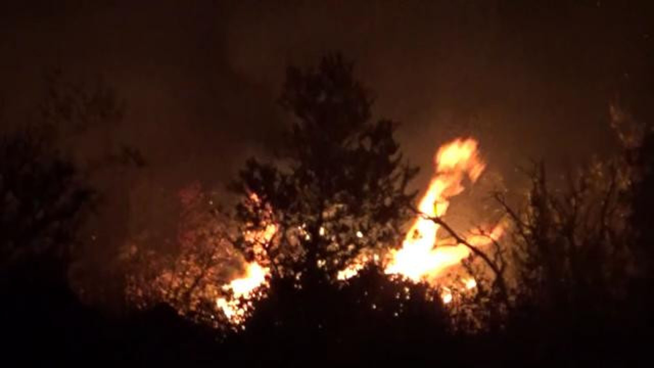 Mersin’de makilik alanda yangın