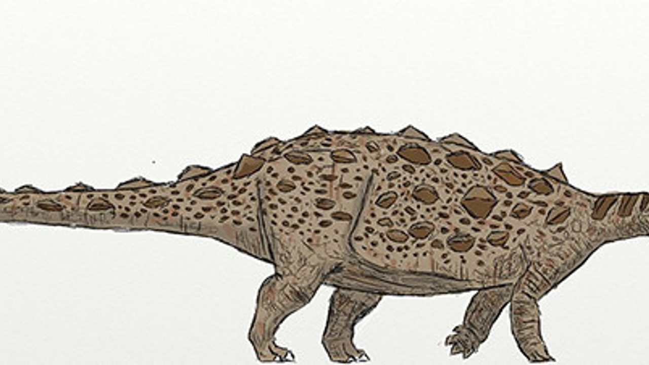 Tuhaf diken zırhlı dinozor türü keşfedildi