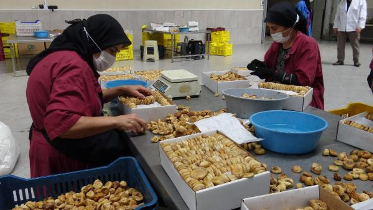 Çalınmasın diye bekçi tutuyorlar