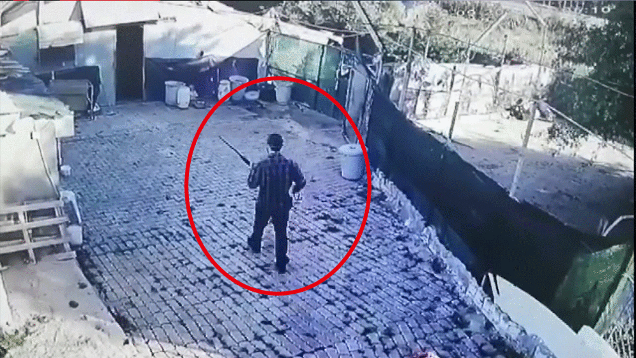 Gözünü kırpmadan av tüfeğiyle öldürdü