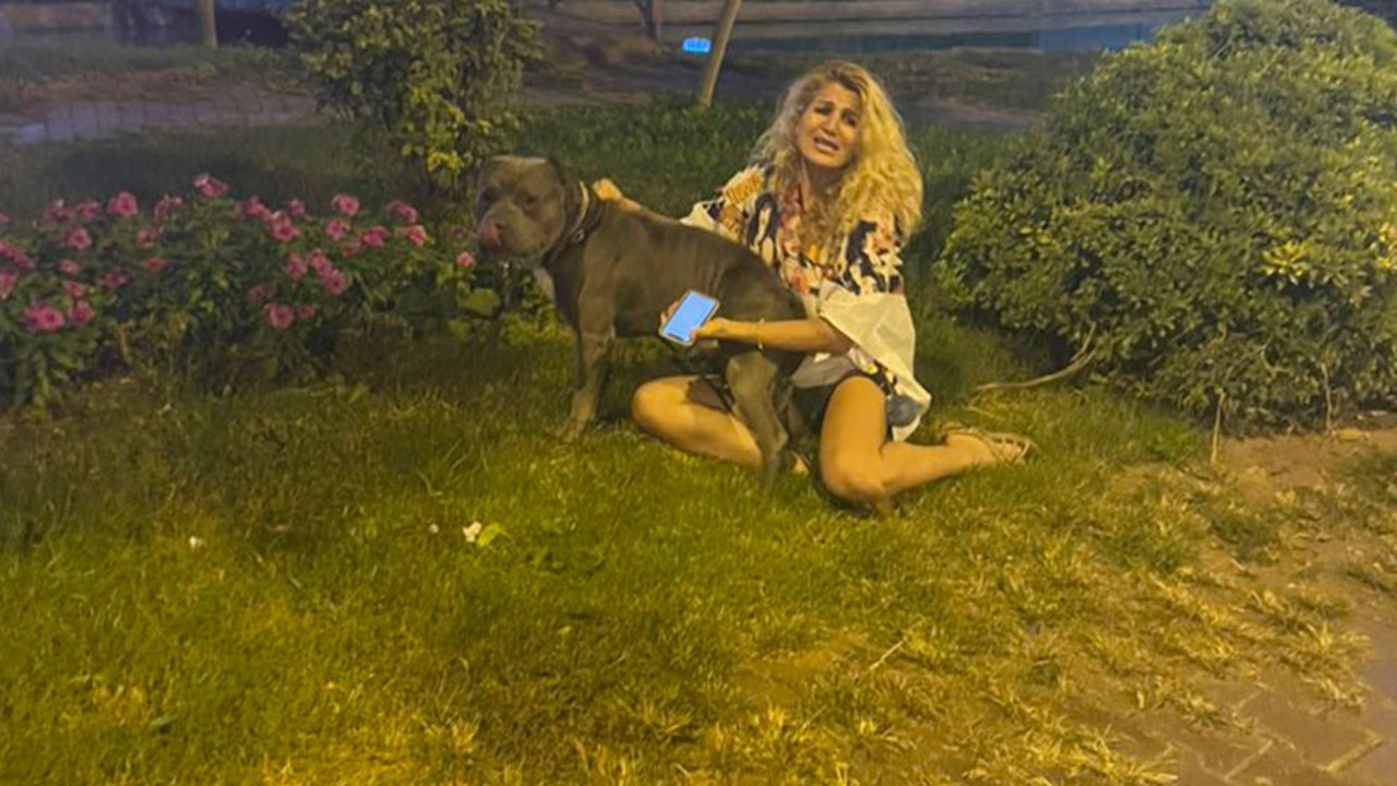 Bu katillere dur diyecek bir devlet görevlisi yok mu