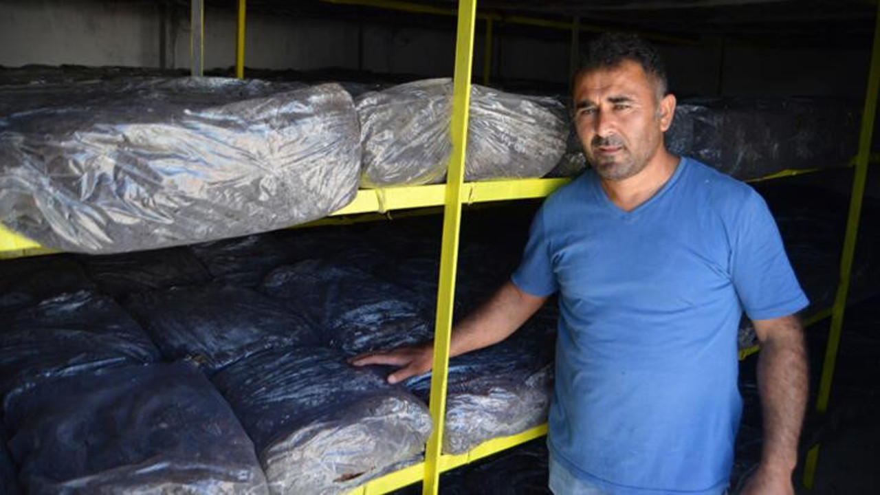 50 bin yatırdı ayda 12 bin TL kazanıyor