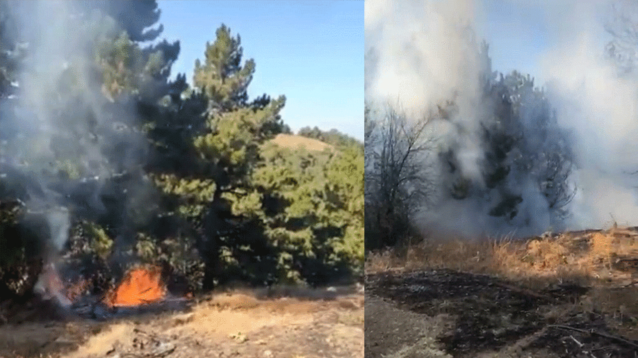 Ormanlık alanda yangın!