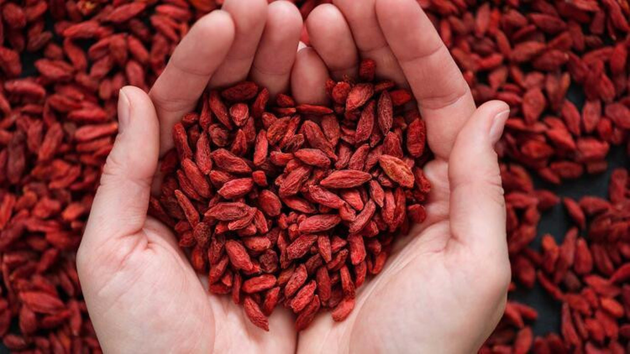 Goji berry meyvesinin suyunu içen kurtuluyor