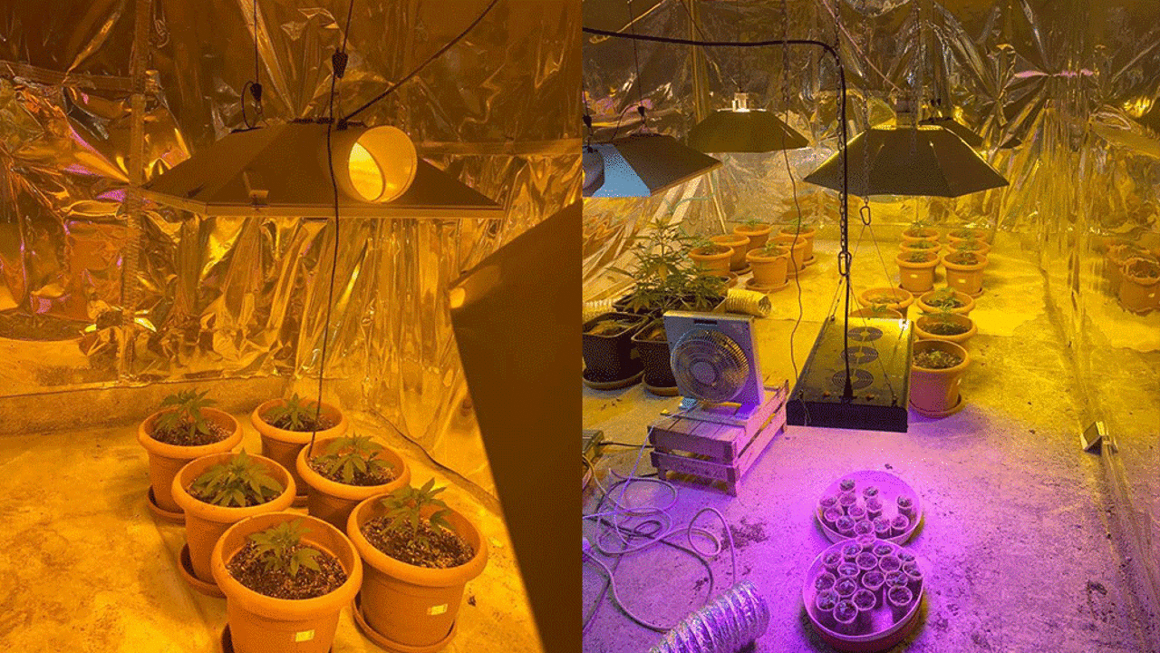 Çatı katında akılalmaz düzenek!