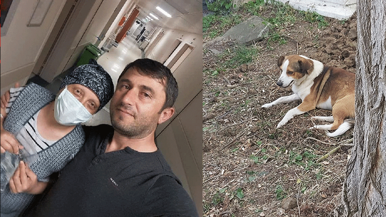 Ümit öldü Yoldaş'ı mezarının başından bir an olsun ayrılmadı