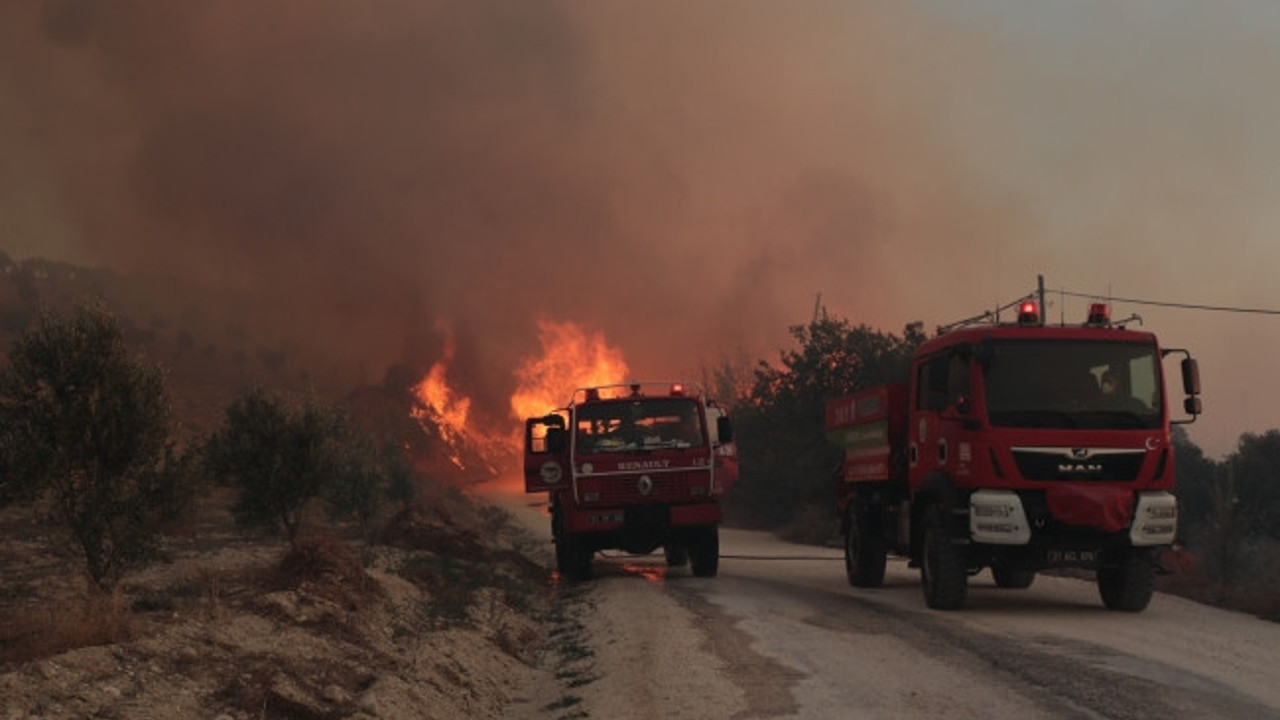 Hatay'da orman yangını. Müdahale sürüyor