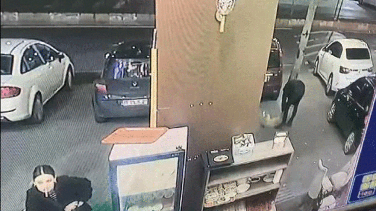 Suratından bıçaklanan köpek kan revan içinde dükkana sığındı