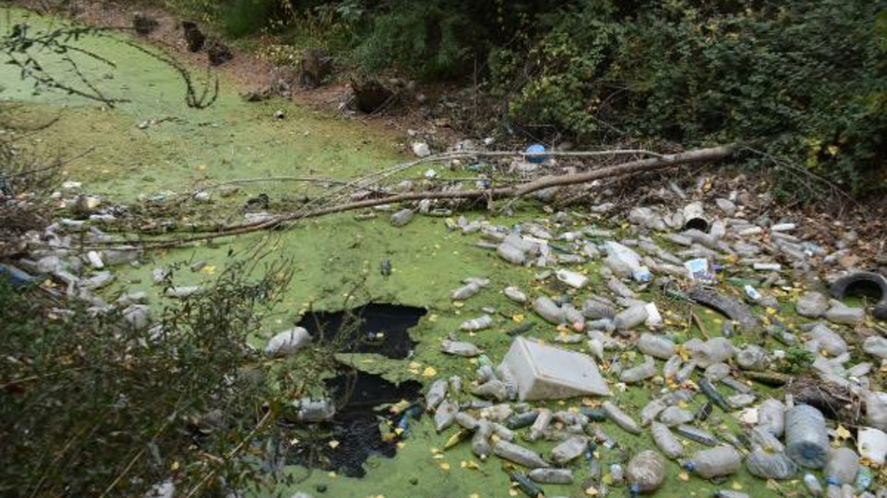 Kuruyan Bayır Deresi yeşile döndü vatandaş çöplüğe çevirdi