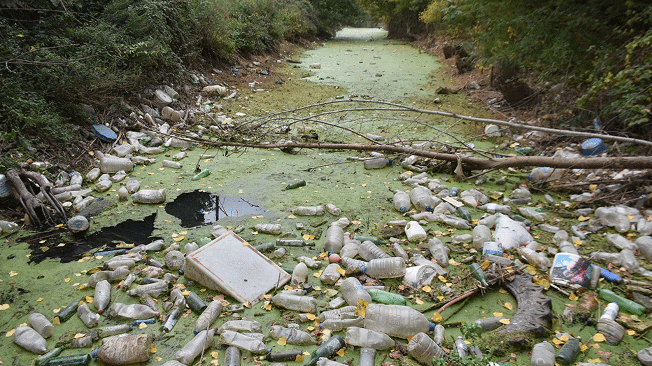 Bayır Deresi can çekişiyor