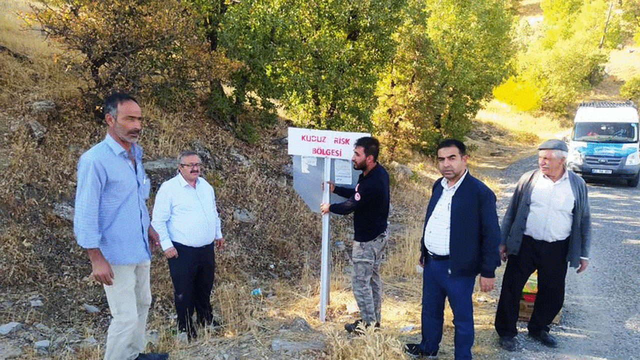 İlçede kuduz paniği! 6 ay karantina kararı