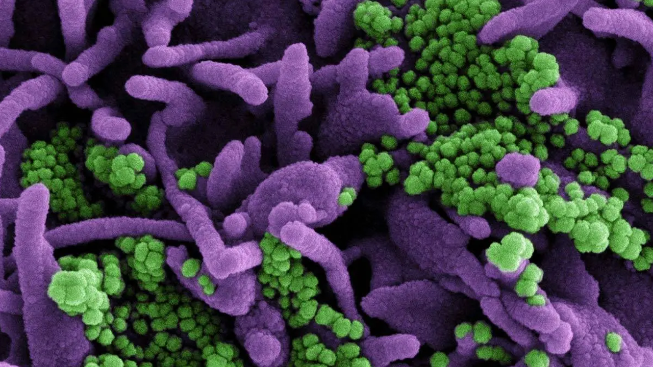 Korona virüste yeni varyant ortaya çıktı