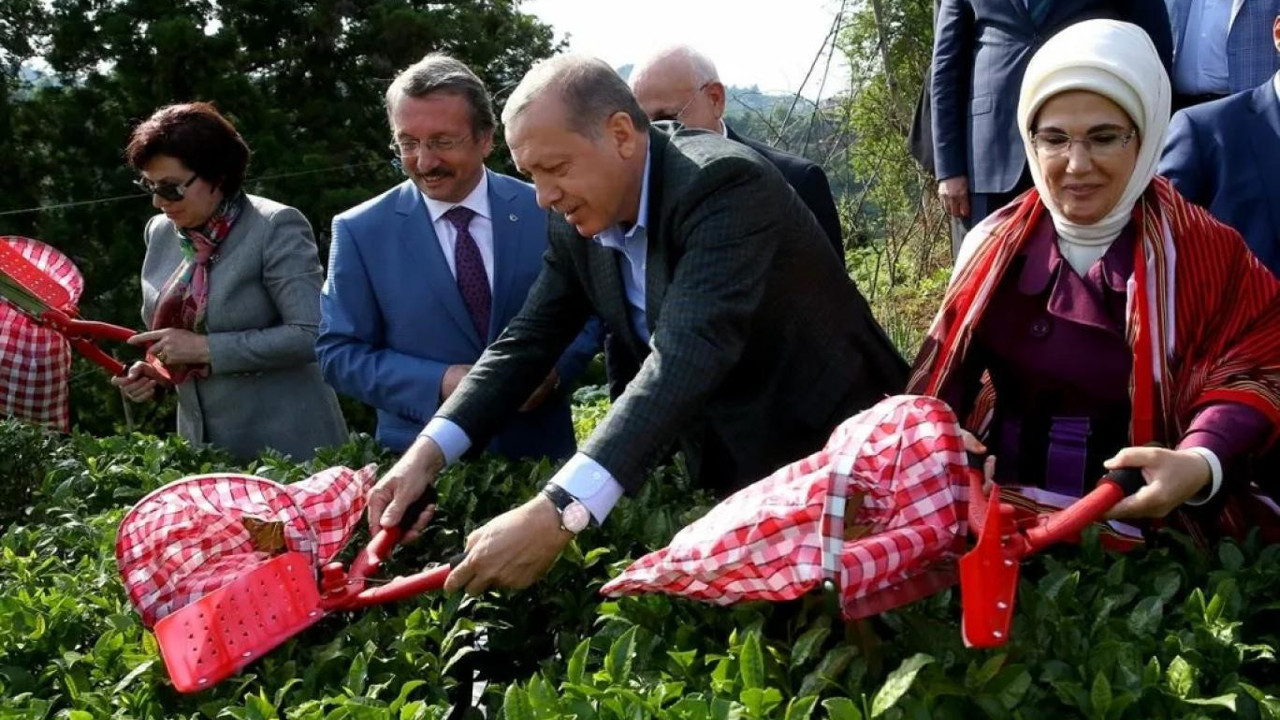 Cemil Çiçek'ten, Erdoğan'ı şoke edecek açıklama