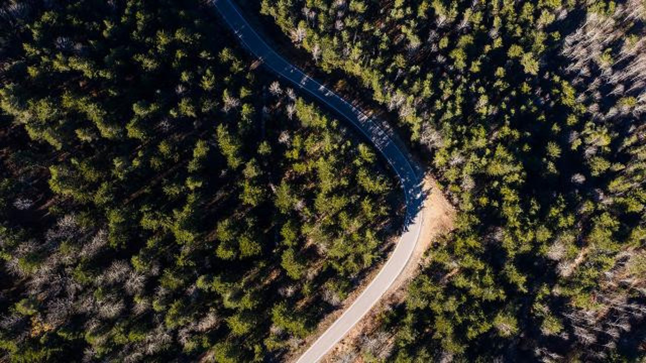 Nallıhan'daki ormanlık alan 'Milli Park' oldu