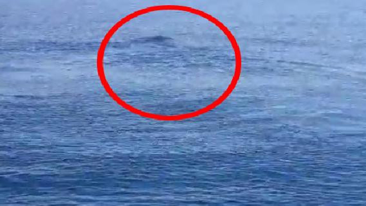 Van Gölü canavarı hortladı. Efsane geri döndü