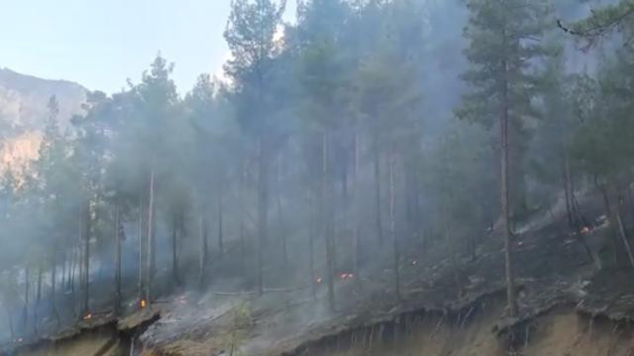 Adana'daki orman yangını kontrol altında (29 Ekim 2021)