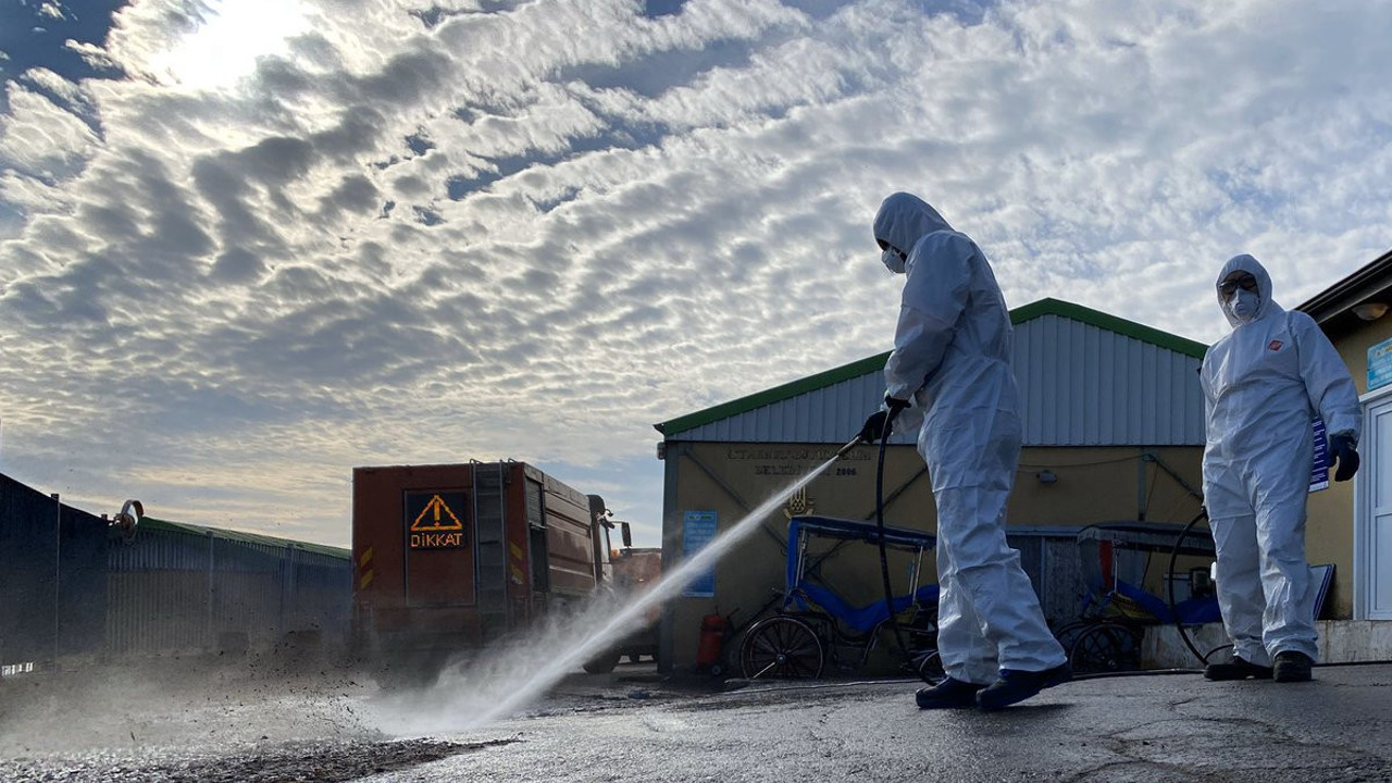 Fransa'da kuş gribi alarmı