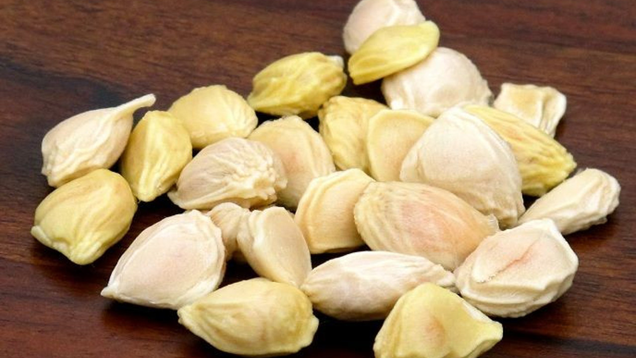 Çekirdeği altın kadar değerli antibiyotikten daha etkili