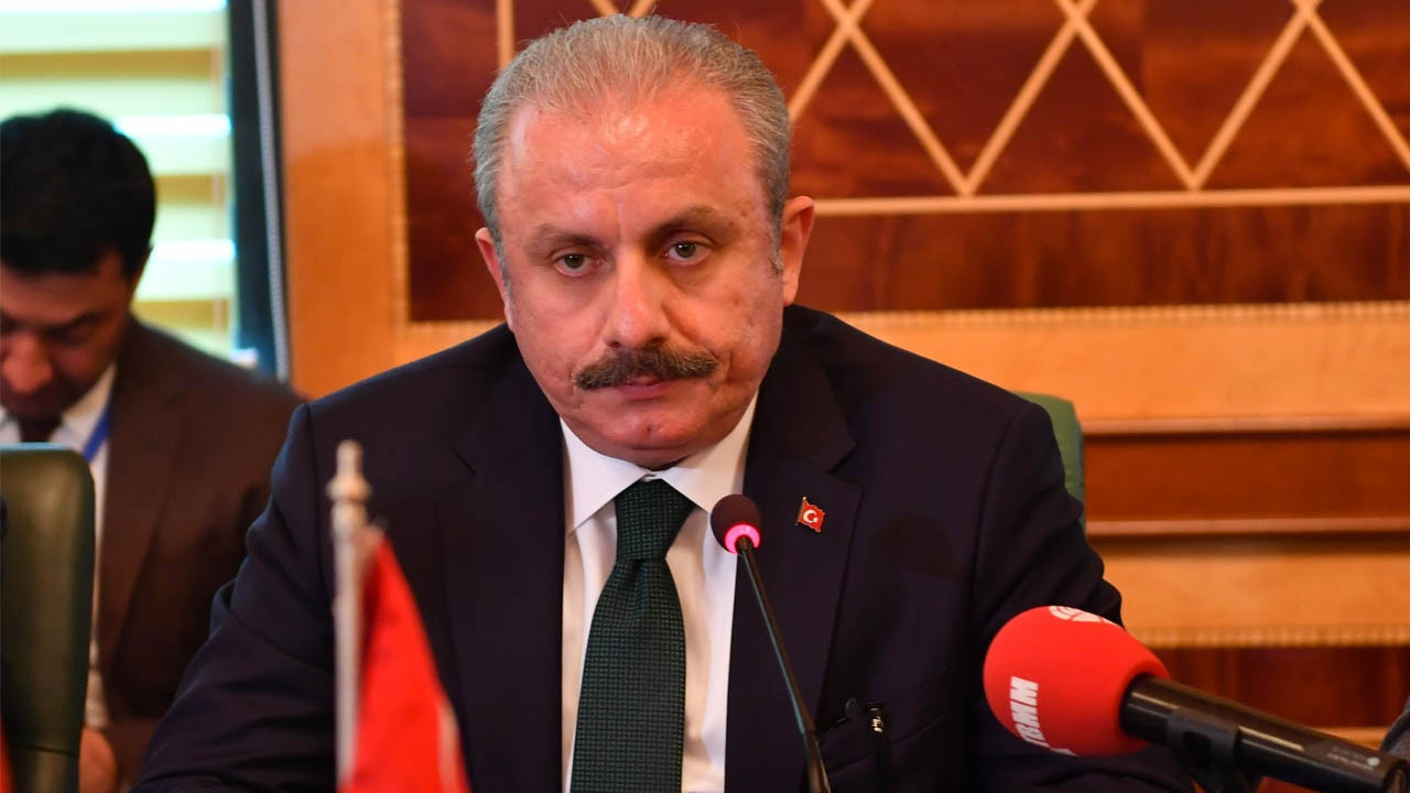 TBMM Başkanı Şentop'tan tek adam eleştirilerine ilginç yanıt. Kaç adam lazım