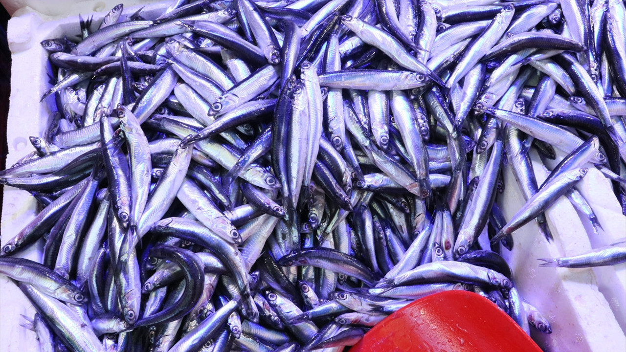 Samsun'da kötü hava balık fiyatlarını vurdu