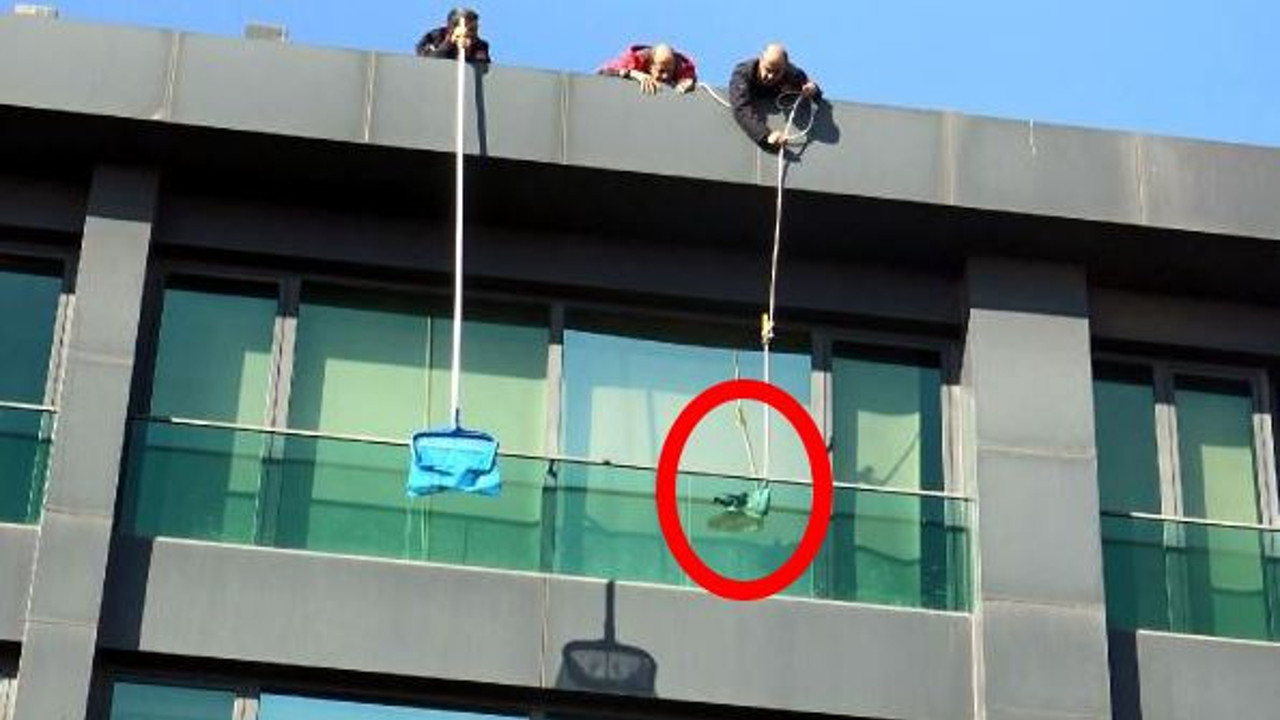 Avcılar'da güvercin kurtarma operasyonu