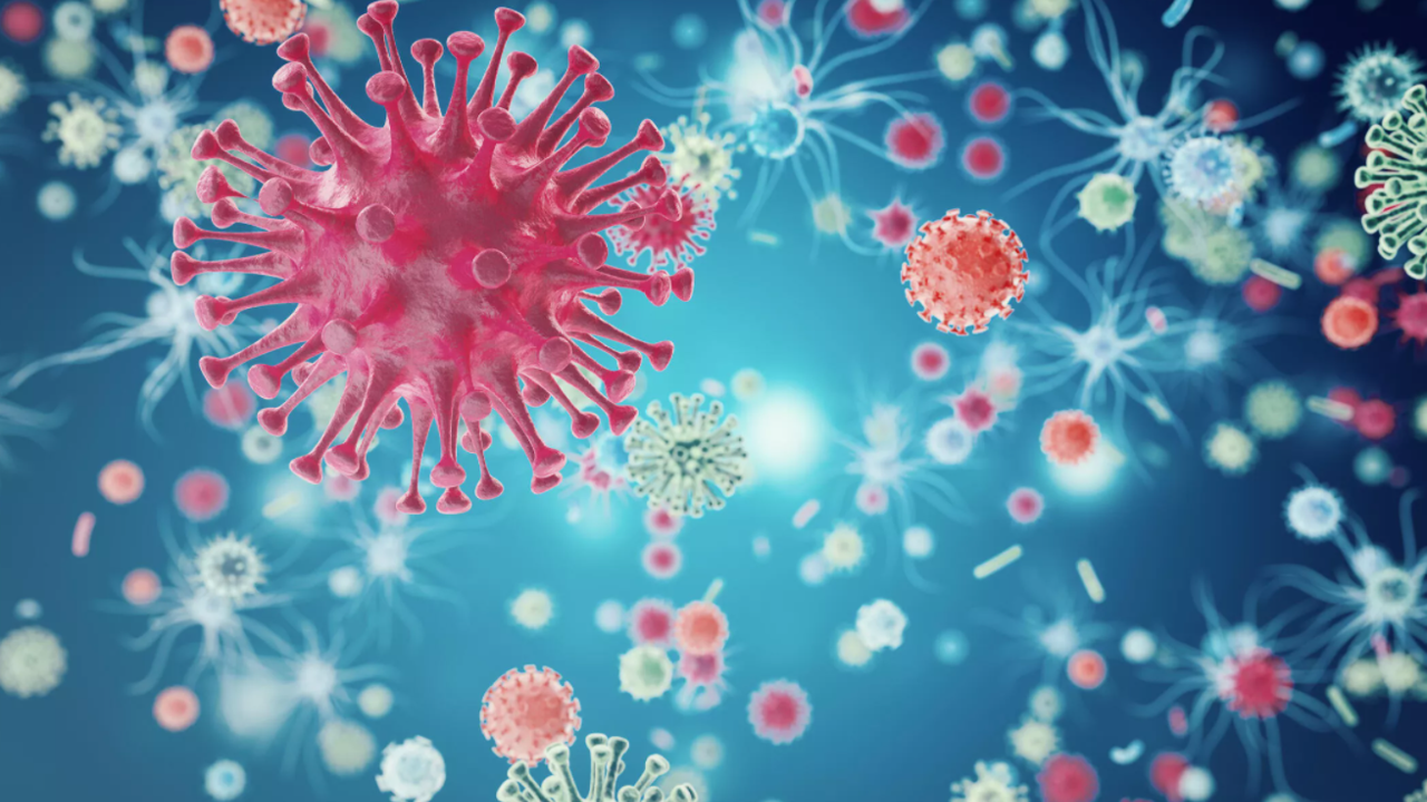 Avrupa ve Asya'da yeni salgın