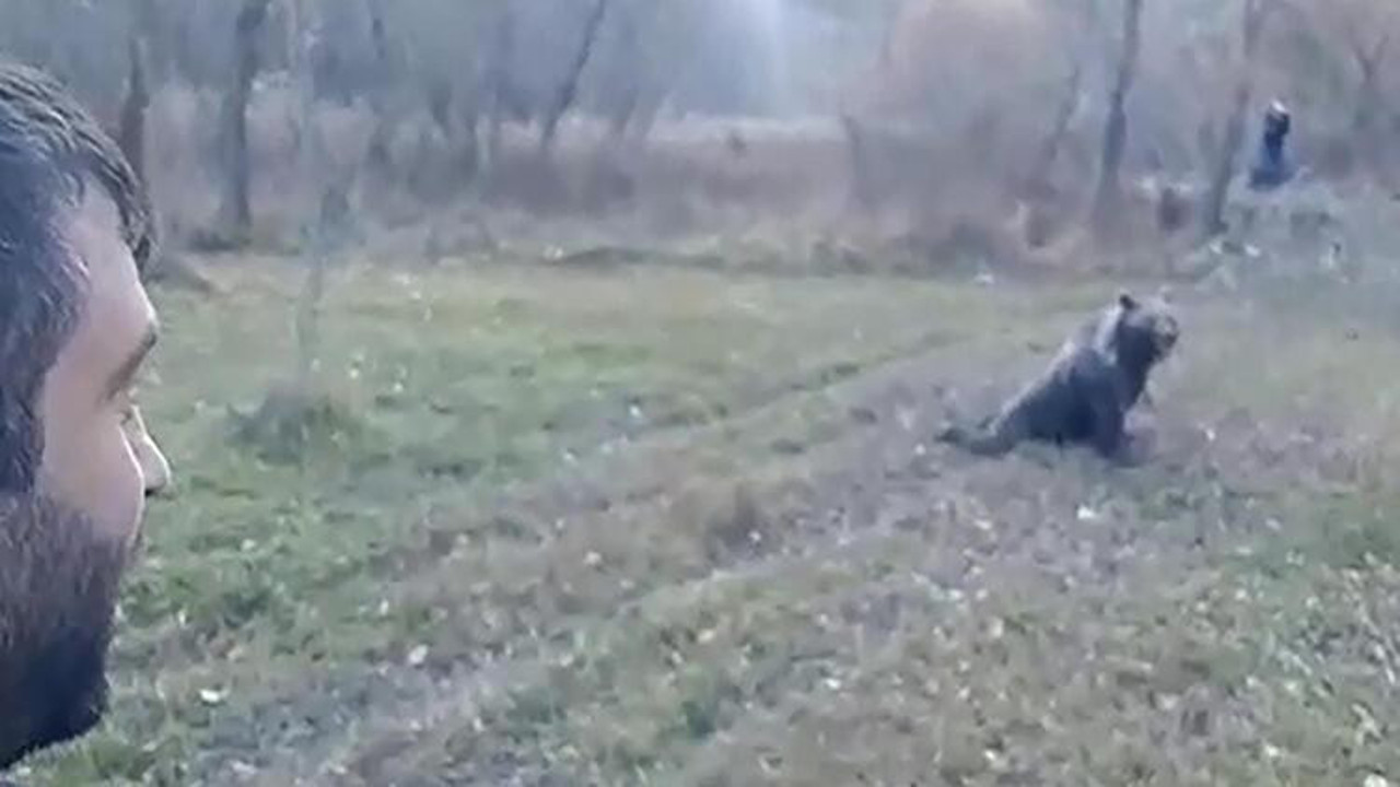 Kış uykusuna yatmayan ayıyı böyle uzaklaştırdılar