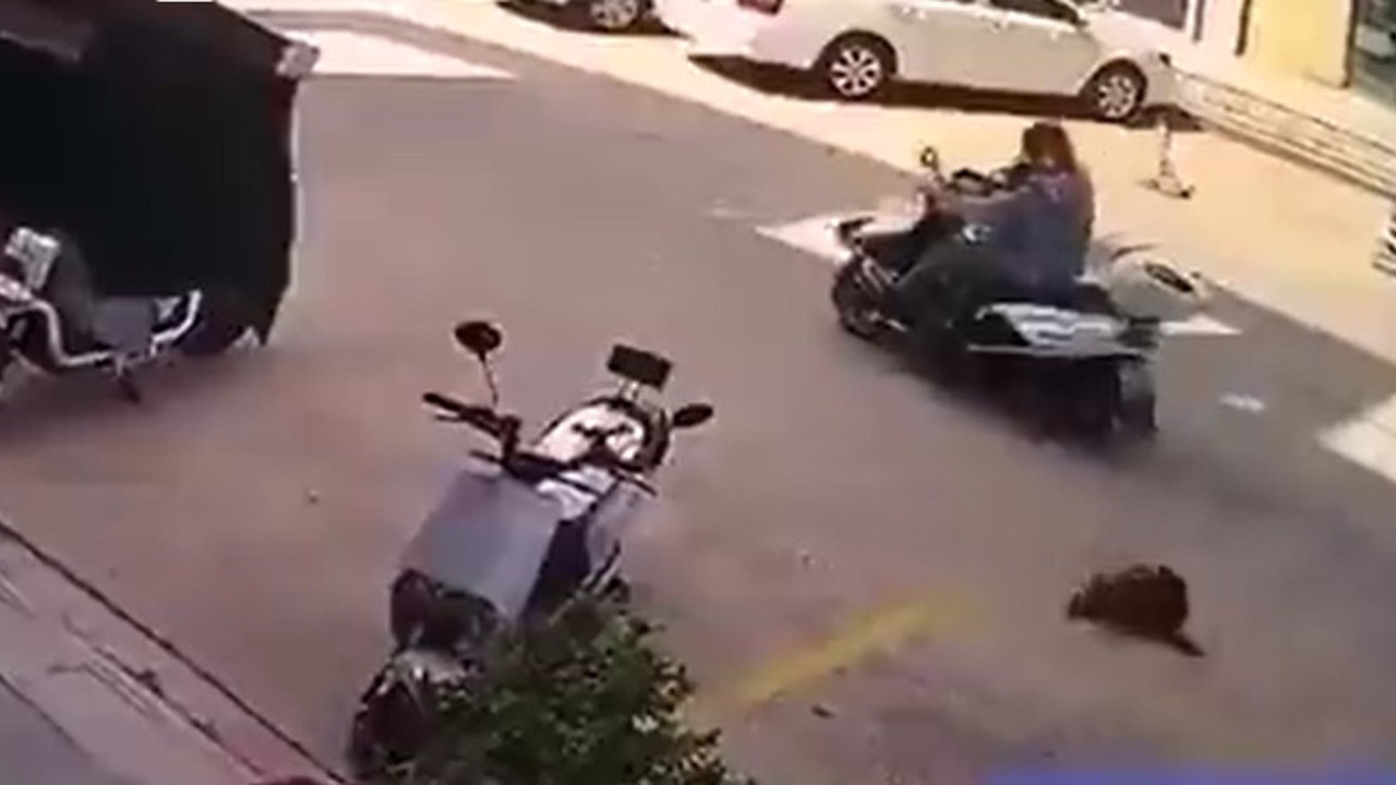 Kediden oscarlık oyunculuk