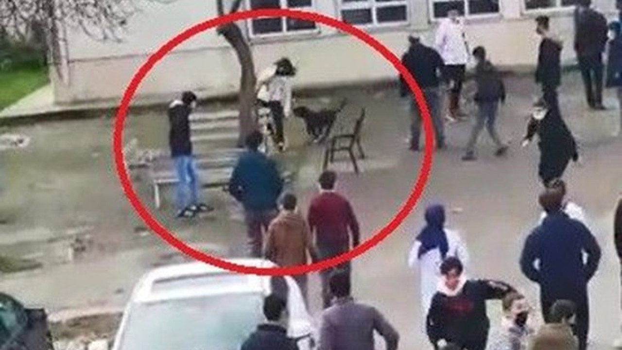 Lisenin bahçesine giren pitbull öğrencileri ısırdı. Durdurun bu pitbull vahşetini