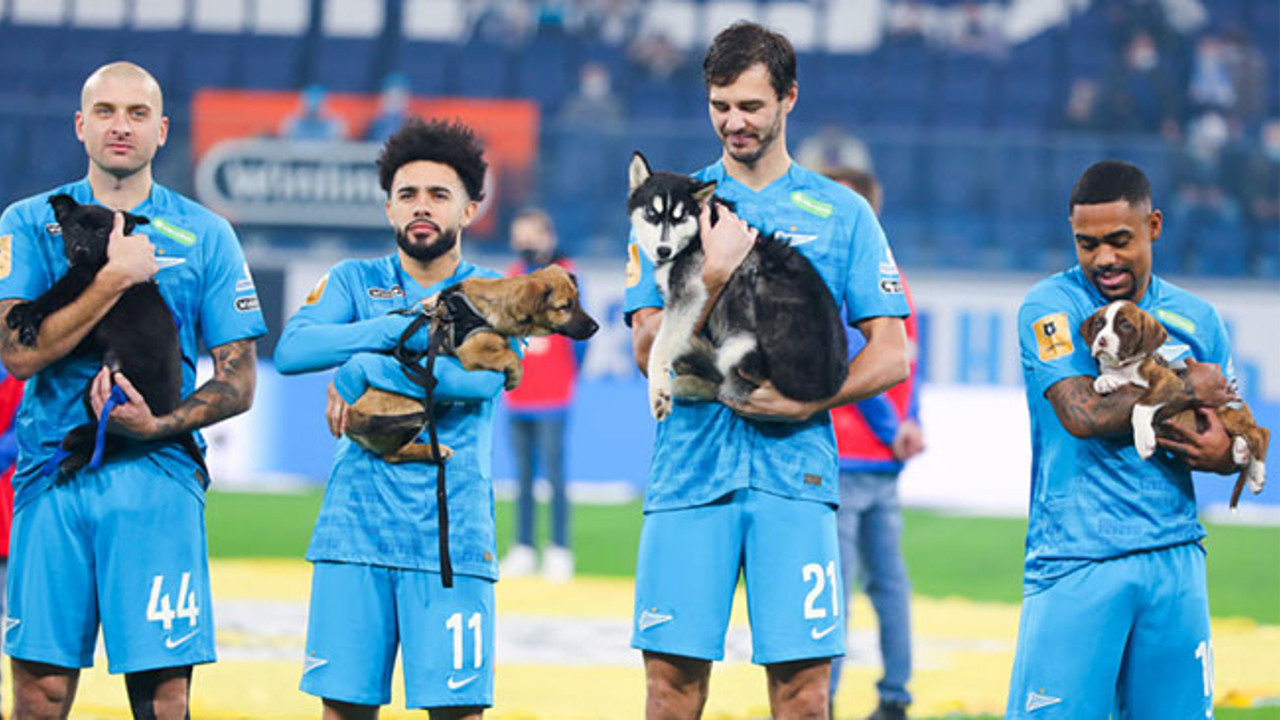 Rus takımı Zenit'ten alkış alan hareket! Sahipsiz köpeklerle sahaya çıktılar herkes takdir etti