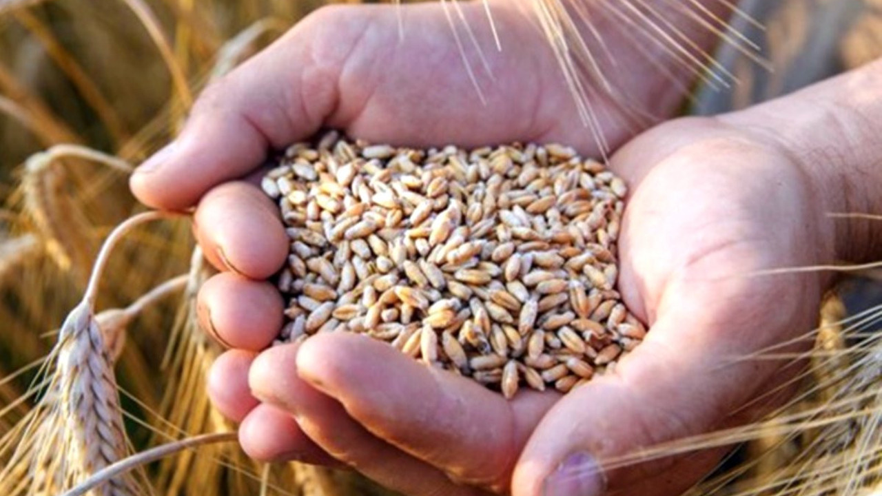 TMMOB: Gıda Krizi Kapımızda