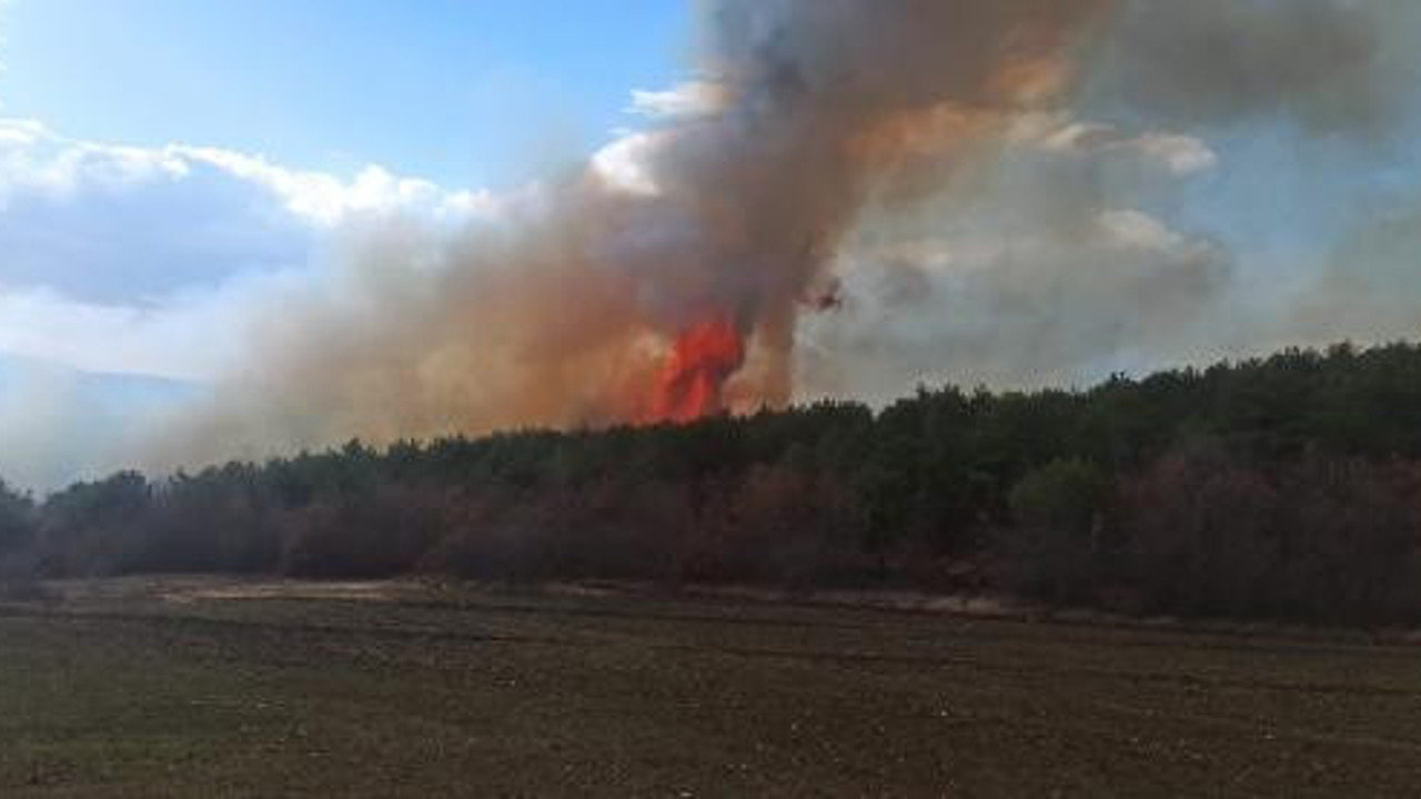 Tokat'ta orman yangını (15 Aralık 2021)