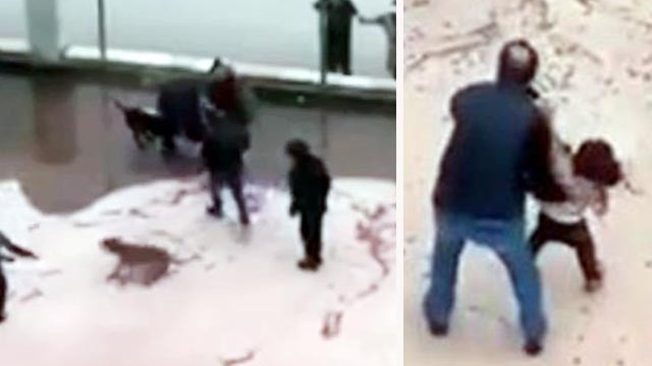 Pitbull dehşetinde 6 kişi gözaltında