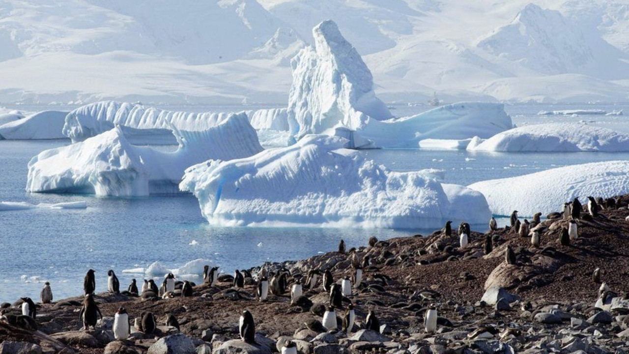 Antarktika'da yeni keşif