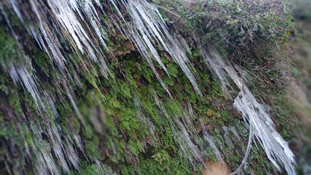 Güney Şelalesi buz tuttu