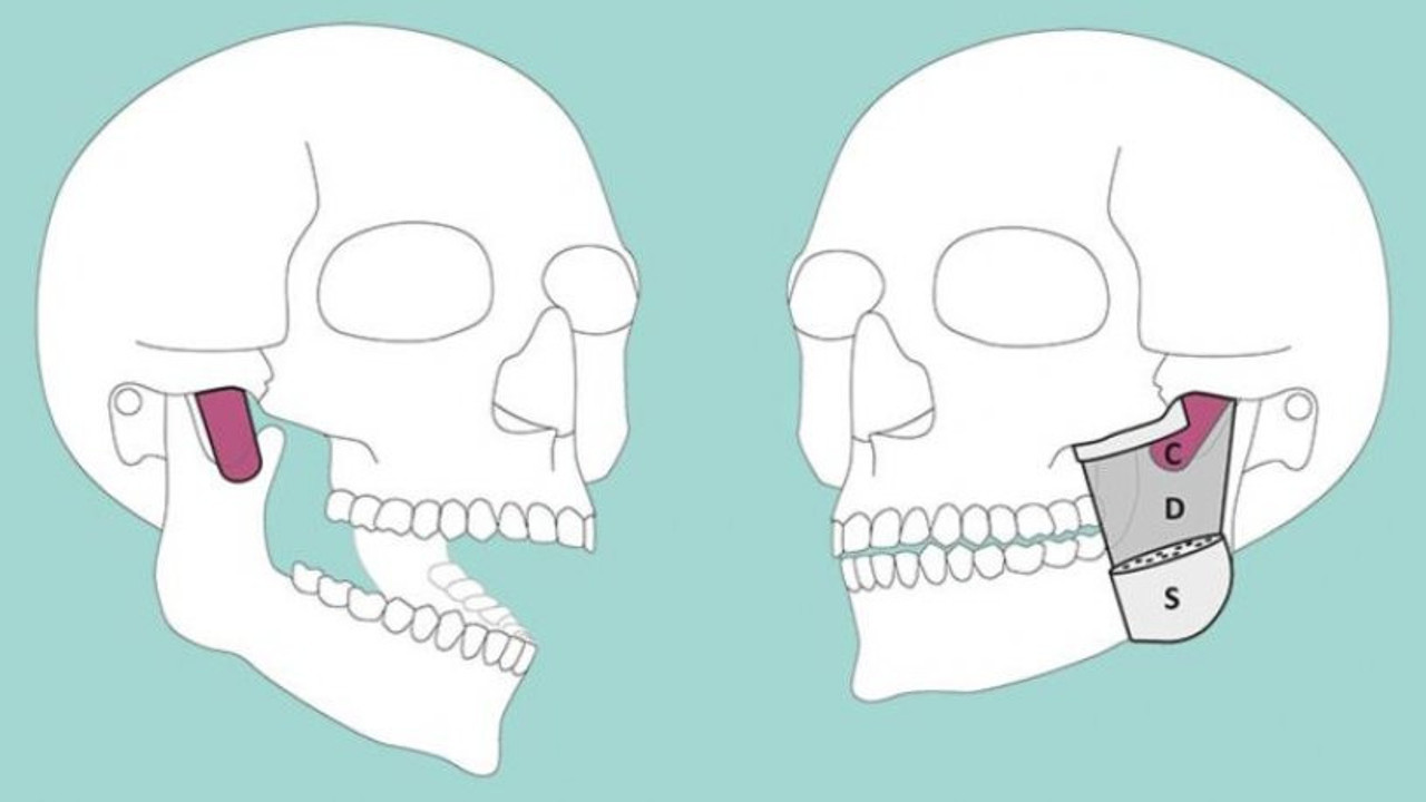 Bilim insanları yeni bir kas keşfetti