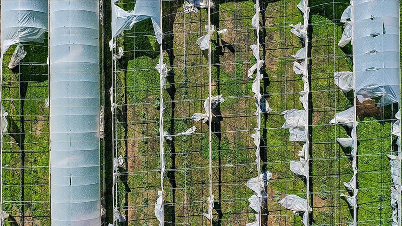 2022 yılı Devlet Destekli Tarım Sigortaları Genel Şartlar ile Tarife Talimatları yayınlandı