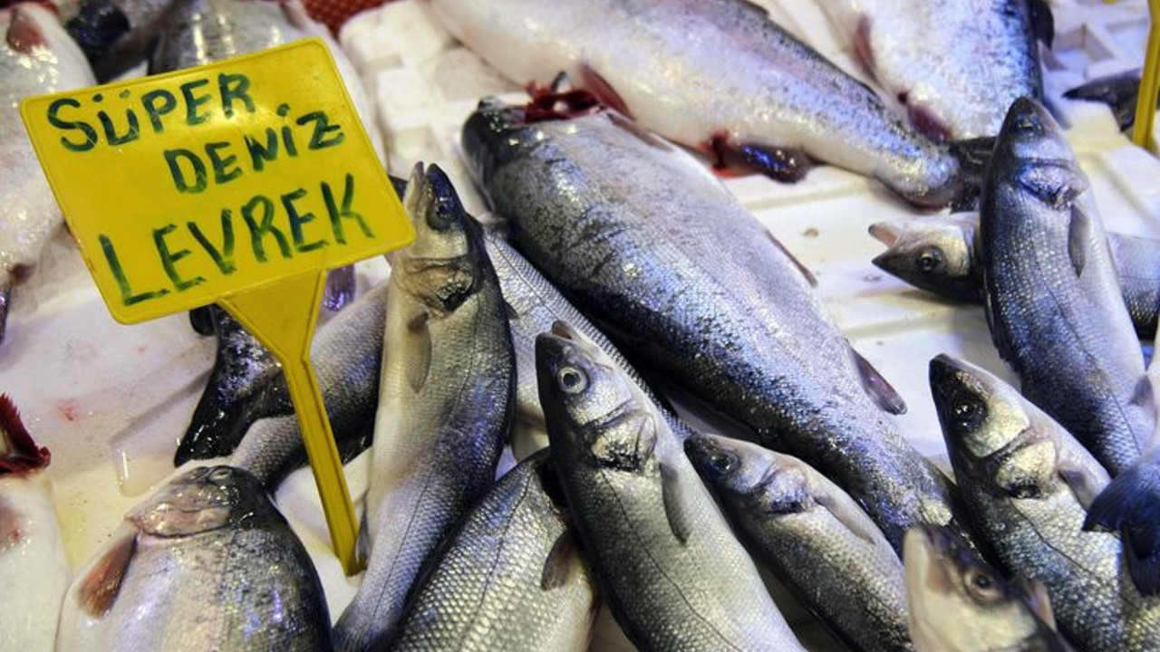 Levreklerde ölümcül tehlike