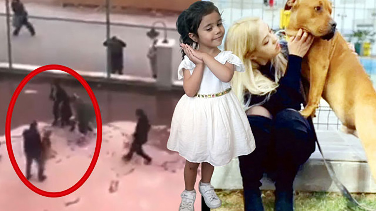 İnsanlığınızdan utanın… Asiye’nin yaşadığı pitbull saldırısında görüntüler silinmiş