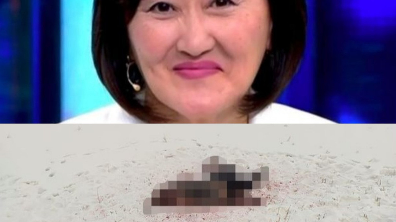 Sokak köpekleri dehşet saçtı. Profesörü parçalayarak öldürdüler