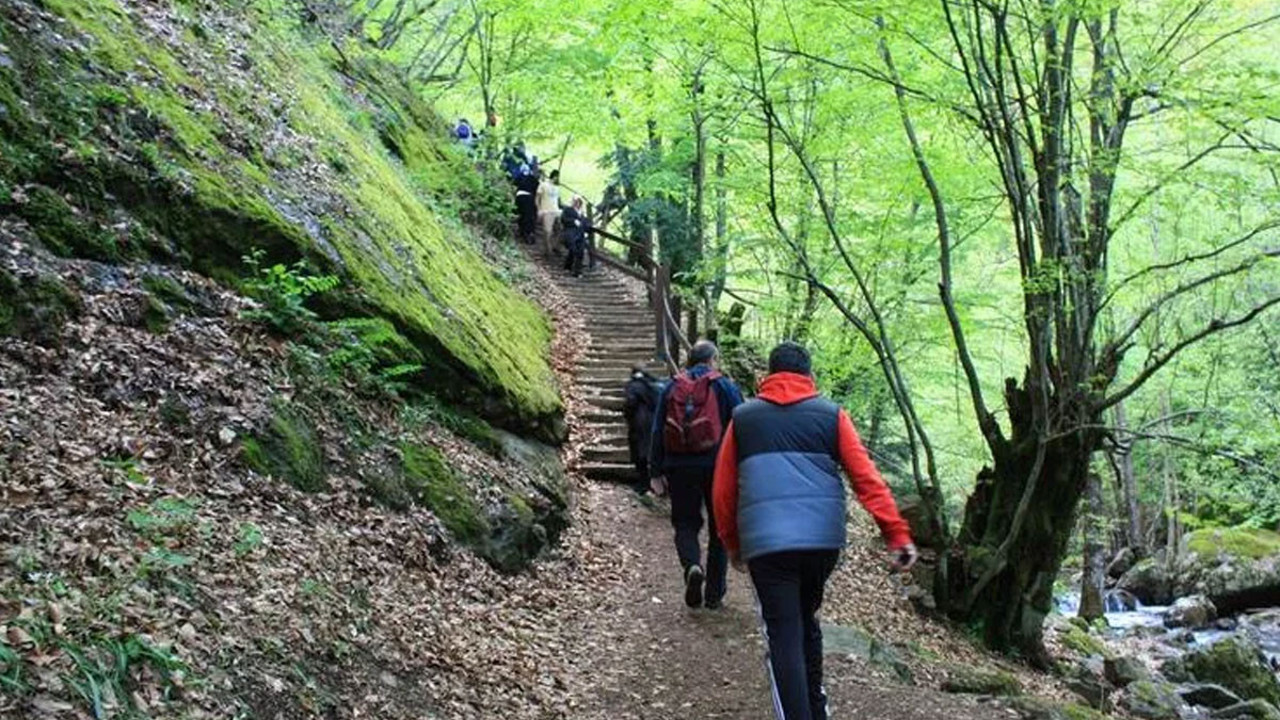 Ormana geziye ve spora gidenleri bekleyen büyük tehlike