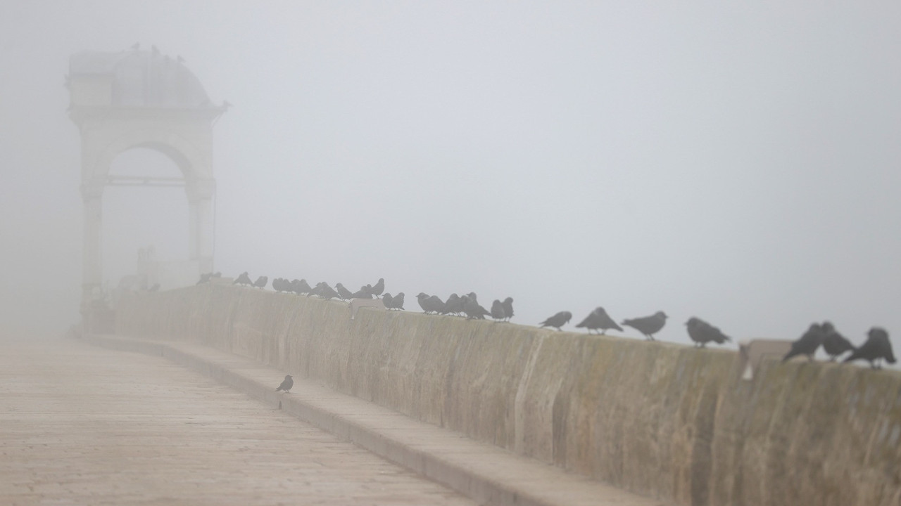 Edirne'de yoğun sis (01 Ocak 2022)