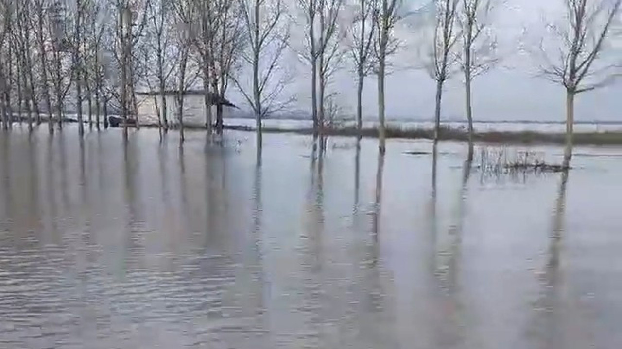 Meriç Nehri'nde taşkın alarmı: Köy halkı kayıkla geziyor