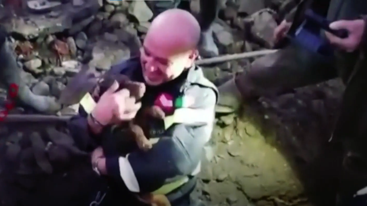 Tilki yuvasına düşen köpekleri itfaiye kurtardı