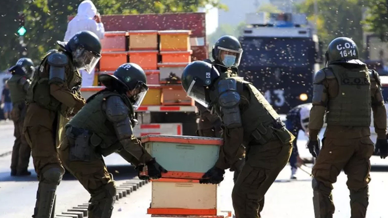 Arıcılar hükümeti protesto etti, yedi polisi arı soktu